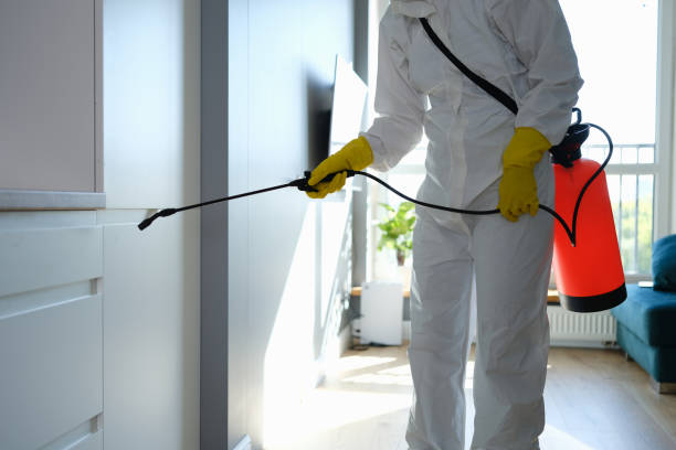 Best Fast Mold Removal  in Beaver Dam, WI